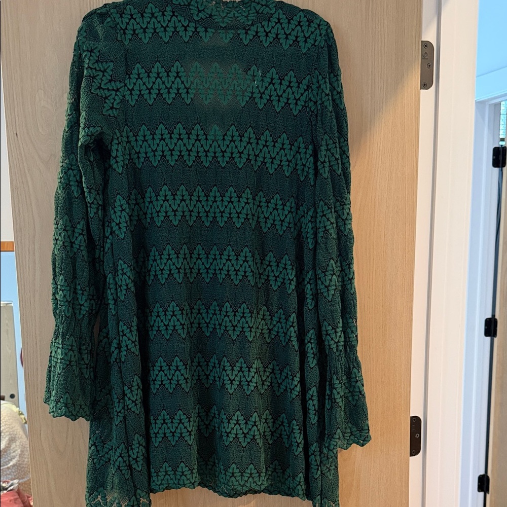 Free People Green Lace Long Sleeve Mini Dress